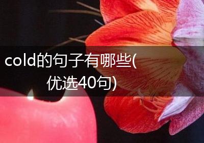 cold的句子有哪些(优选40句)