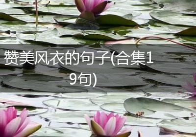 赞美风衣的句子(合集19句)