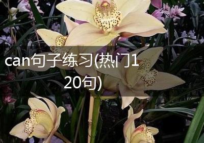 can句子练习(热门120句)