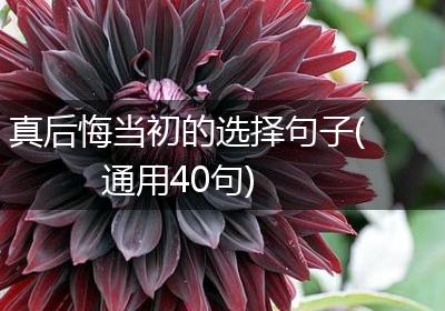真后悔当初的选择句子(通用40句)