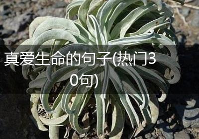 真爱生命的句子(热门30句)