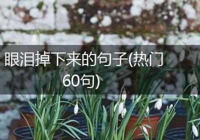 眼泪掉下来的句子(热门60句)