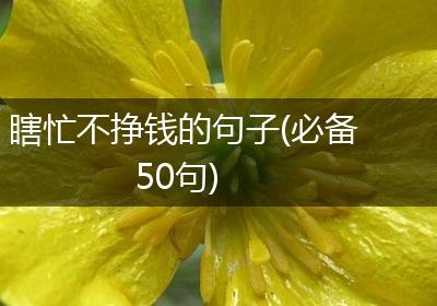 瞎忙不挣钱的句子(必备50句)