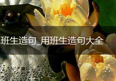 班生造句_用班生造句大全