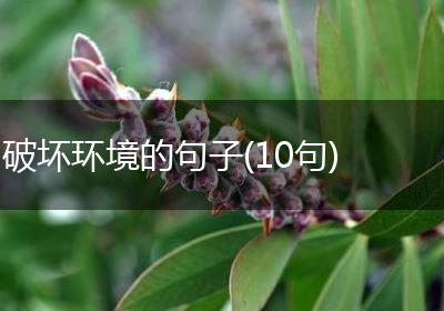 破坏环境的句子(10句)