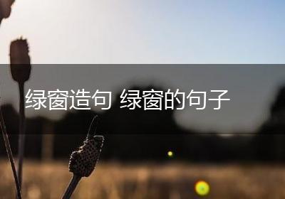 绿窗造句 绿窗的句子