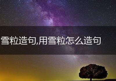 雪粒造句,用雪粒怎么造句