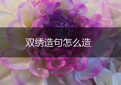 双绣造句怎么造