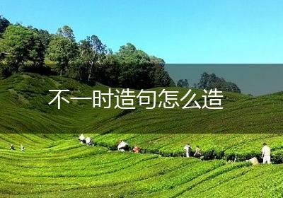 不一时造句怎么造