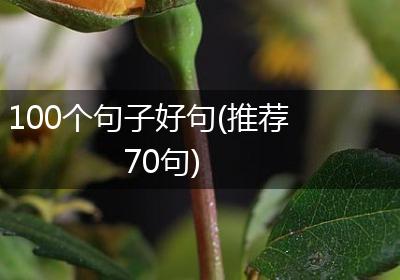 100个句子好句(推荐70句)