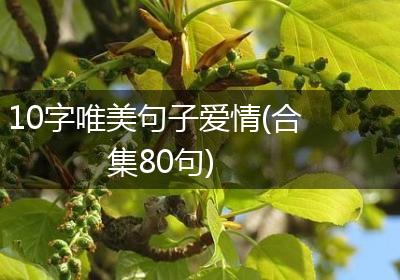 10字唯美句子爱情(合集80句)