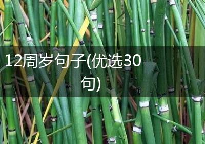 12周岁句子(优选30句)