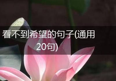 看不到希望的句子(通用20句)