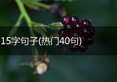 15字句子(热门40句)