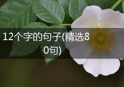 12个字的句子(精选80句)