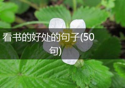 看书的好处的句子(50句)