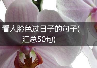 看人脸色过日子的句子(汇总50句)