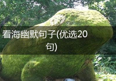 看海幽默句子(优选20句)