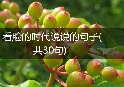 看脸的时代说说的句子(共30句)