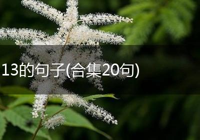 13的句子(合集20句)