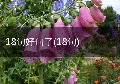 18句好句子(18句)
