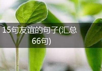 15句友谊的句子(汇总66句)