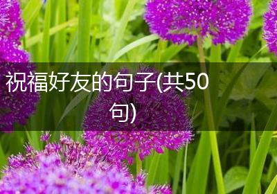 祝福好友的句子(共50句)