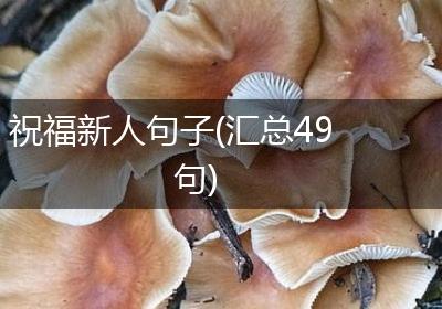祝福新人句子(汇总49句)
