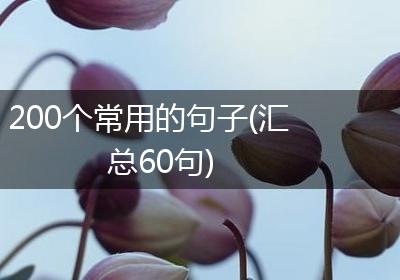 200个常用的句子(汇总60句)