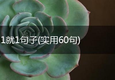 1就1句子(实用60句)