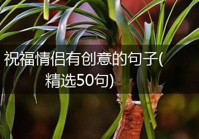 祝福情侣有创意的句子(精选50句)