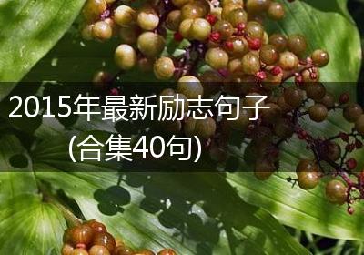 2015年最新励志句子(合集40句)