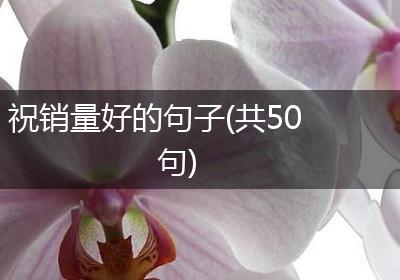 祝销量好的句子(共50句)