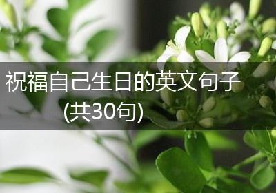 祝福自己生日的英文句子(共30句)
