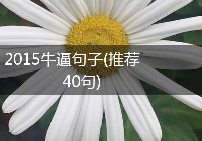 2015牛逼句子(推荐40句)