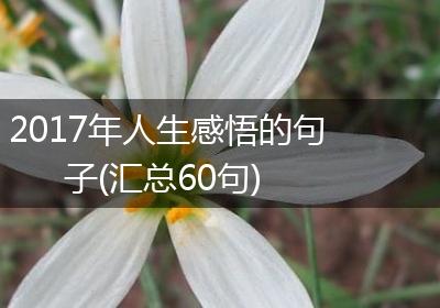 2017年人生感悟的句子(汇总60句)