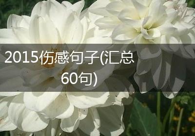 2015伤感句子(汇总60句)