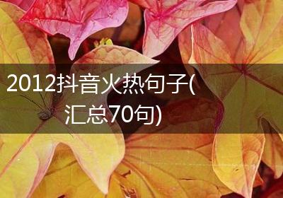 2012抖音火热句子(汇总70句)