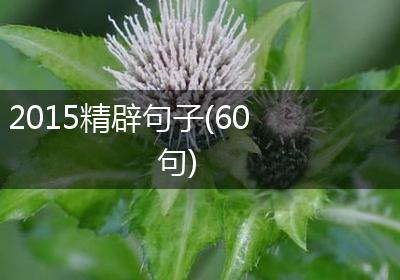2015精辟句子(60句)