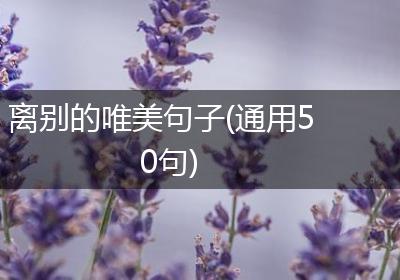 离别的唯美句子(通用50句)