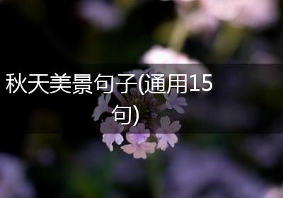 秋天美景句子(通用15句)