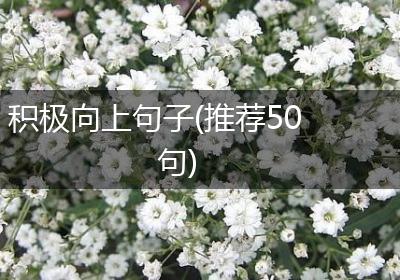 积极向上句子(推荐50句)