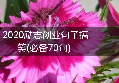 2020励志创业句子搞笑(必备70句)