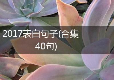 2017表白句子(合集40句)
