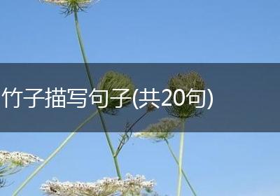 竹子描写句子(共20句)