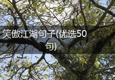 笑傲江湖句子(优选50句)