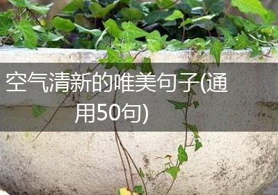 空气清新的唯美句子(通用50句)