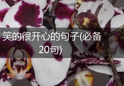 笑的很开心的句子(必备20句)