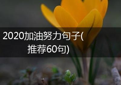2020加油努力句子(推荐60句)