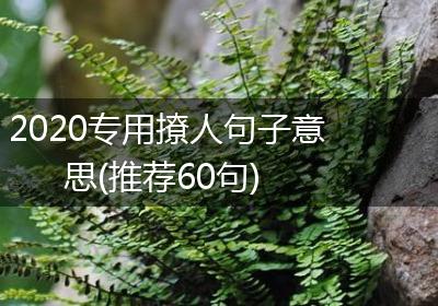 2020专用撩人句子意思(推荐60句)